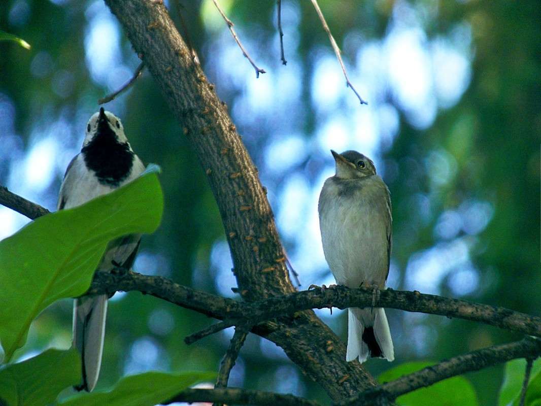 ���� � ��������� ����� ������  �� PhotoGeek.ru #�������� ���