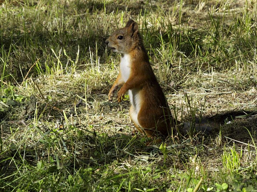 ��� ��� ���? ����� ������  �� PhotoGeek.ru #�������� ���