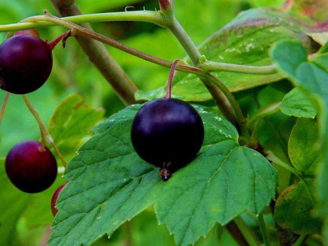 ����� ������� ����� ������  �� PhotoGeek.ru #������ ��� �������