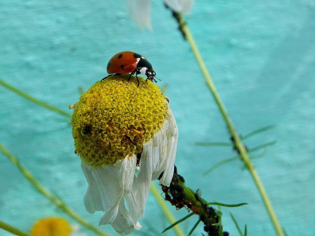 ����� �������� ����� ������  �� PhotoGeek.ru #������ ��� �������