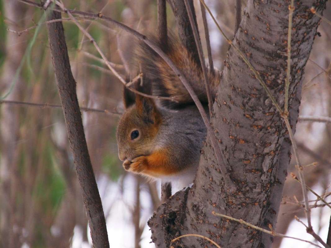 ������� ����� ������  �� PhotoGeek.ru #�������� ���