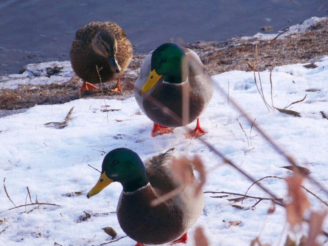 ������ ��������� ��������� ����� ������  �� PhotoGeek.ru #�������� ���