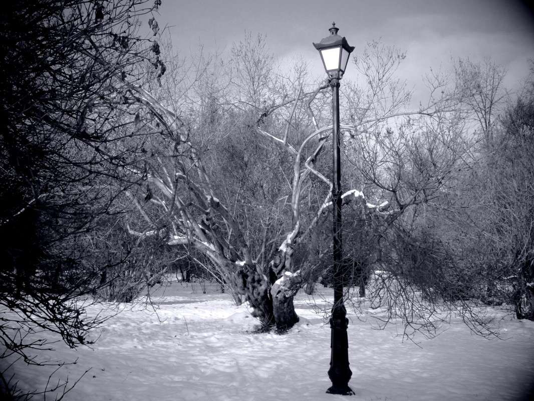 .......... ����� ������  �� PhotoGeek.ru #������ ��� �������