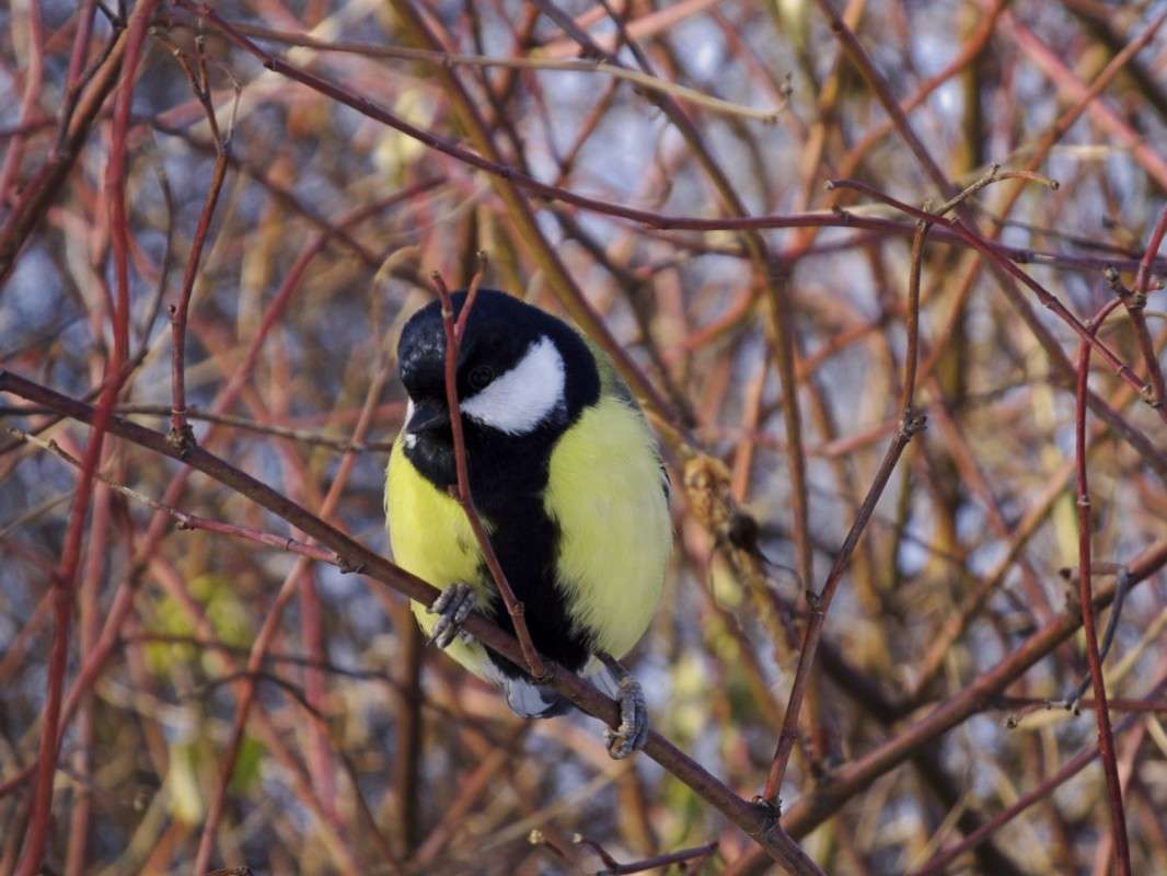 ������� ����� ������  �� PhotoGeek.ru #�������� ���