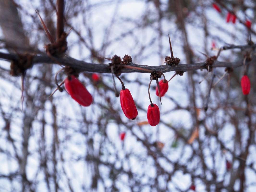 ������� �� ����� ����� ������  �� PhotoGeek.ru #������ ��� �������