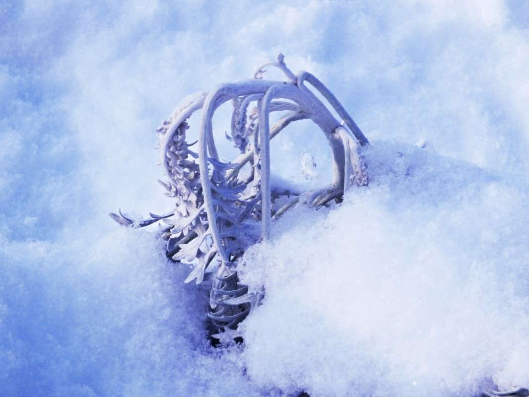 ���� �� �����... ����� ������  �� PhotoGeek.ru #������ ��� �������