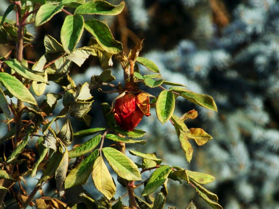 ���� ��������.... ����� ������  �� PhotoGeek.ru #������ ��� �������