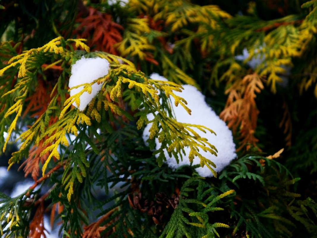 .... ����� ������  �� PhotoGeek.ru #������ ��� �������