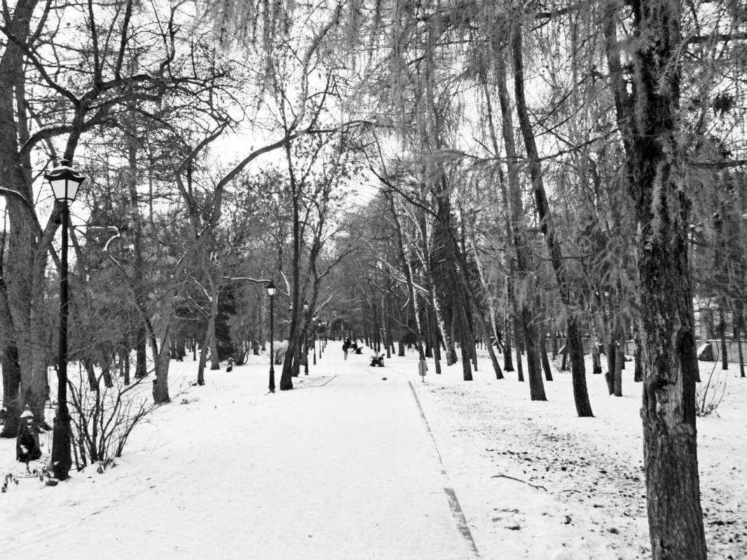 �� �����... ����� ������  �� PhotoGeek.ru #������ ��� �������