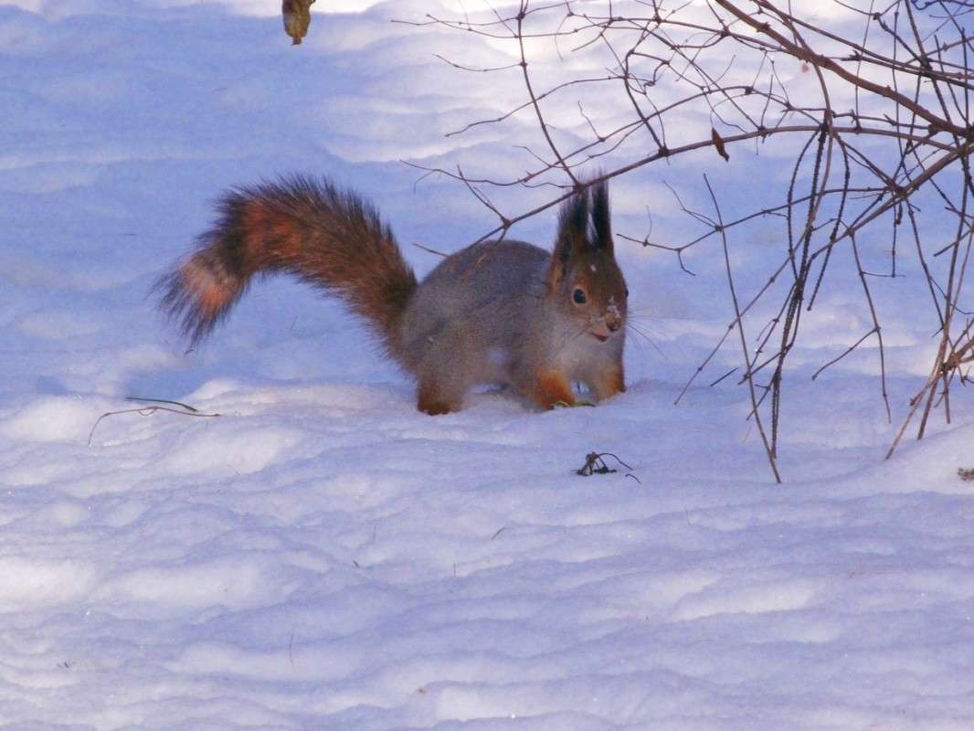 ���� � �������� ����� ������  �� PhotoGeek.ru #�������� ���