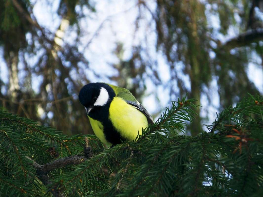 ��� �� ��� �������? ����� ������  �� PhotoGeek.ru #�������� ���