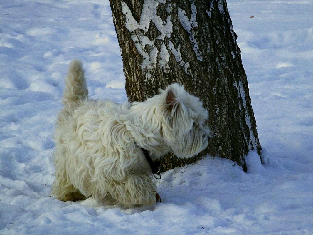 ��� �����...... ����� ������  �� PhotoGeek.ru #�������� ���