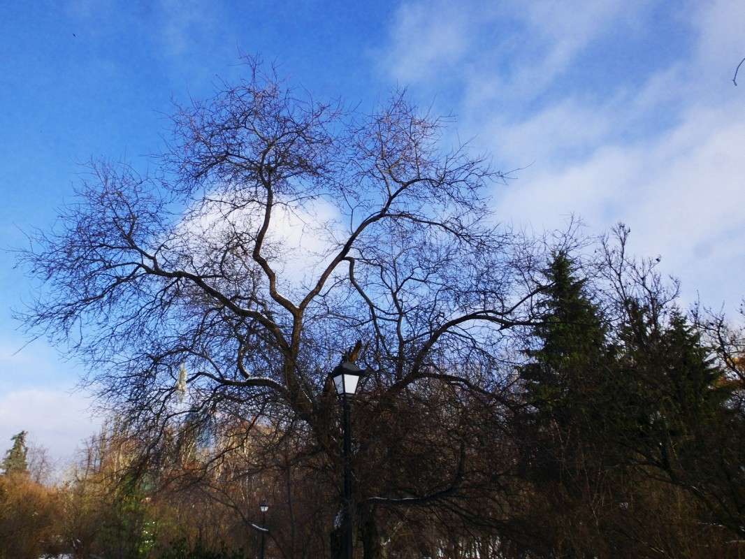 ������ �� ���� ������ � ����.... ����� ������  �� PhotoGeek.ru #������ ��� �������