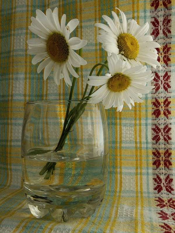 ������� ������� ����� ������  �� PhotoGeek.ru #������ ��� �������