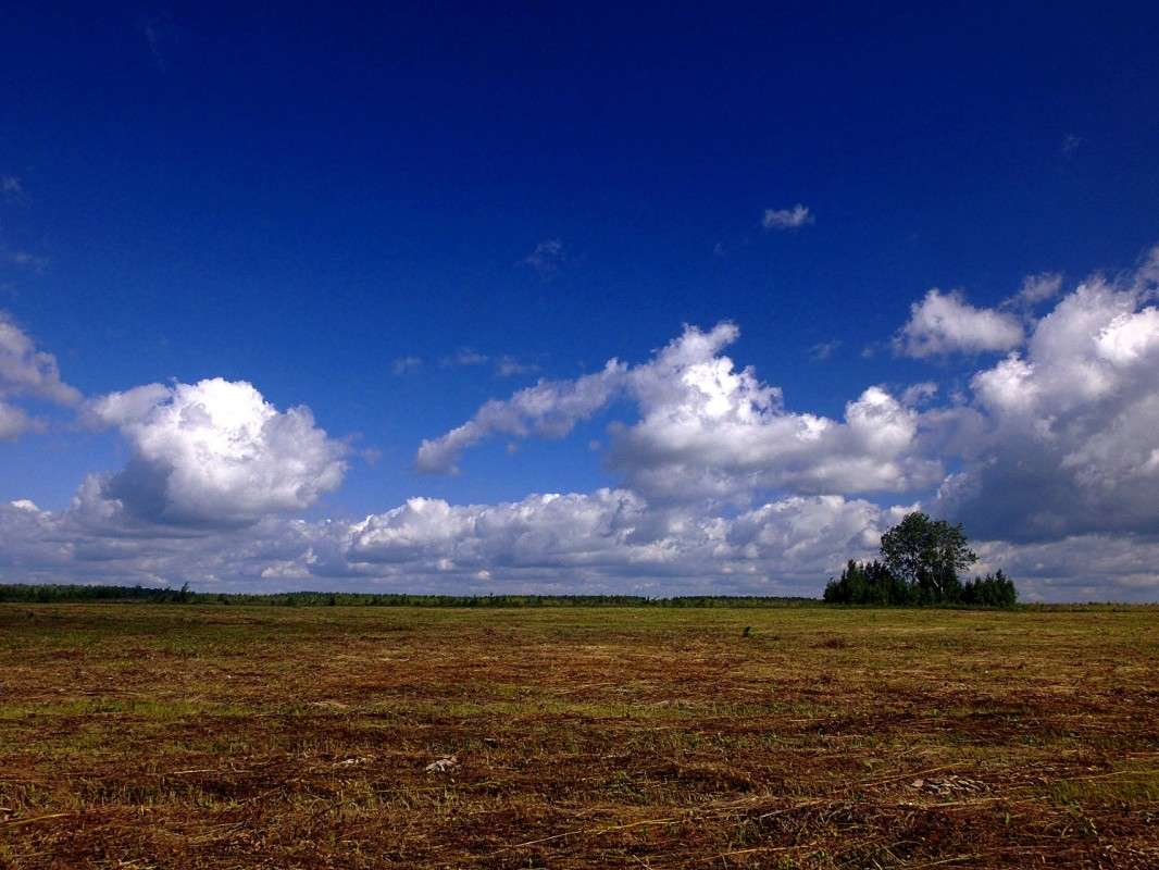 ������� ���� ����� ������  �� PhotoGeek.ru #������ ��� �������