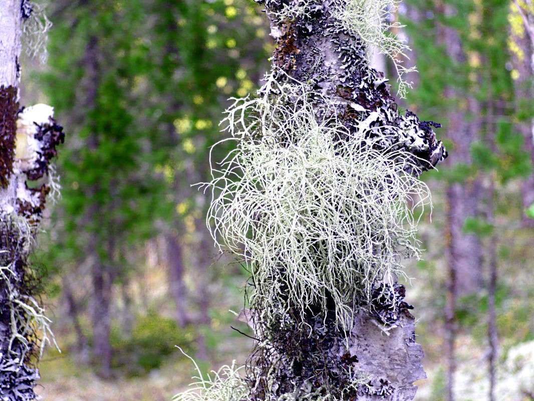 ����� ���������..... ����� ������  �� PhotoGeek.ru #������ ��� �������