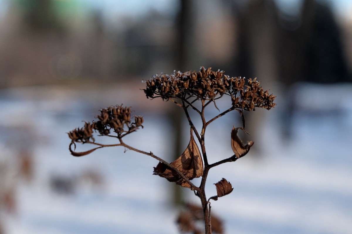 ..... ����� ������  �� PhotoGeek.ru #������ ��� �������