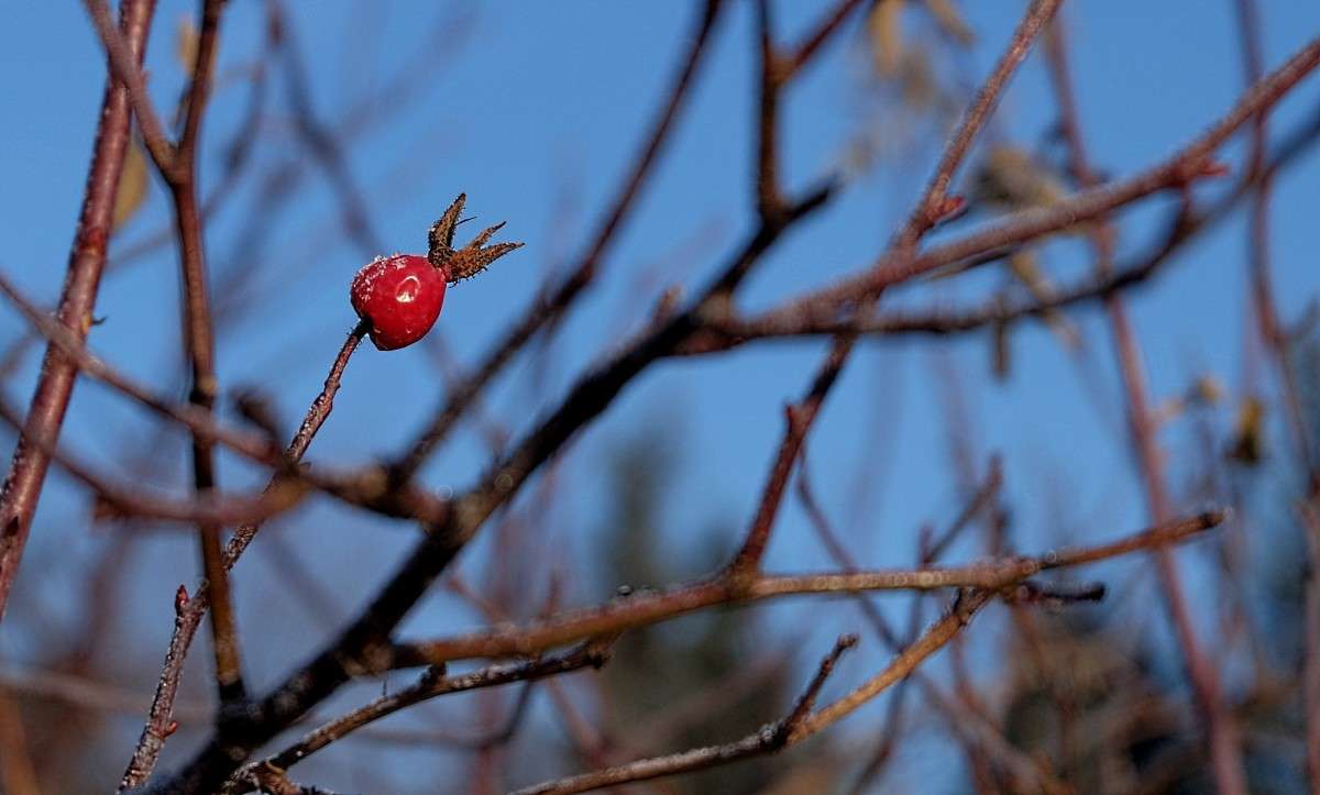 �������� �������� ����� ������  �� PhotoGeek.ru #������ ��� �������