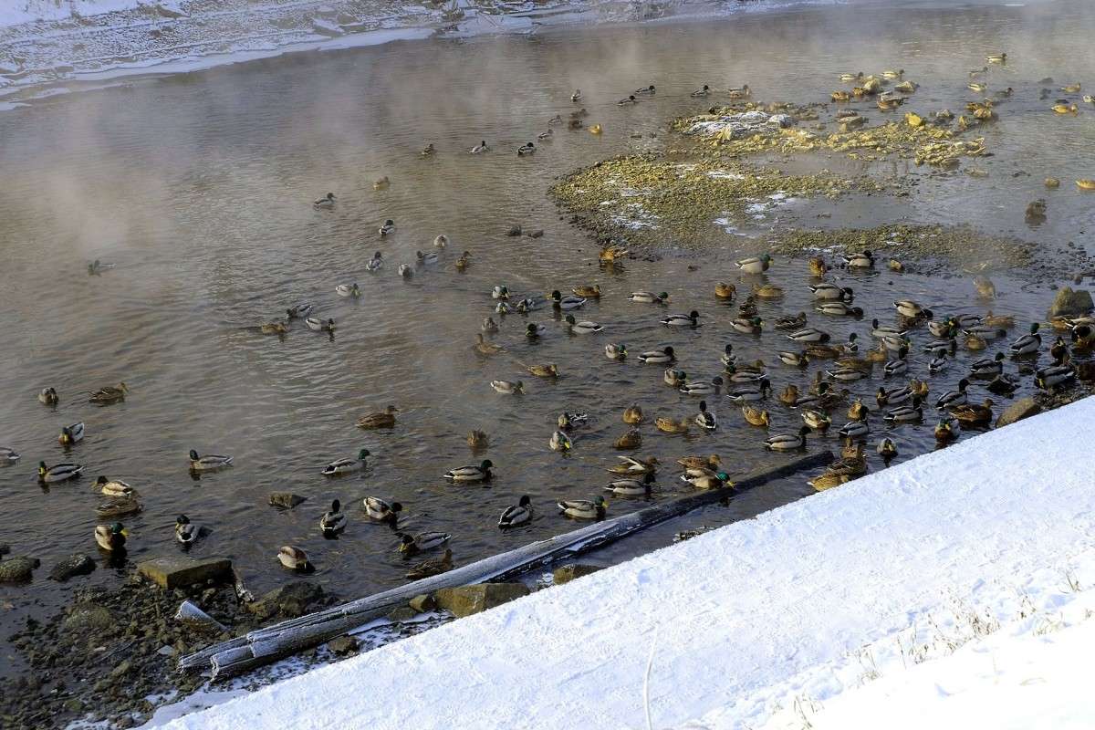 ������� �������� ����� ������  �� PhotoGeek.ru #�������� ���