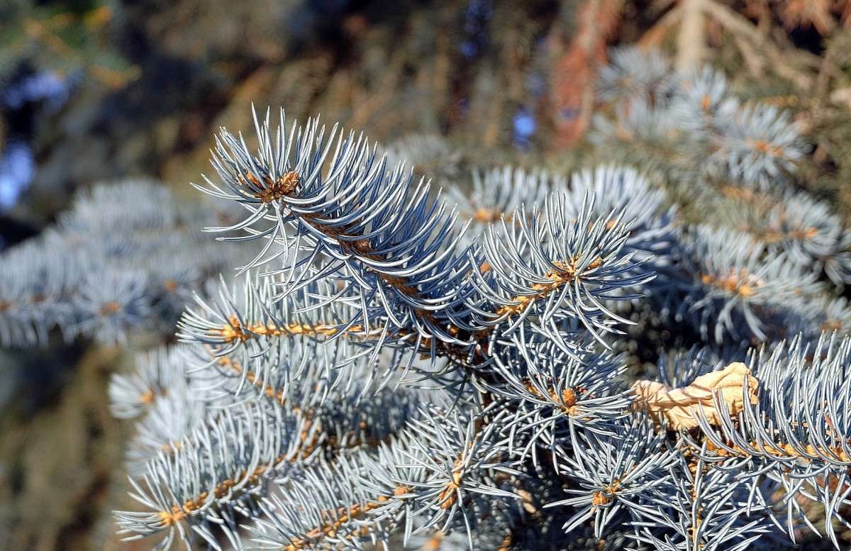 ���� ���������... ����� ������  �� PhotoGeek.ru #������ ��� �������