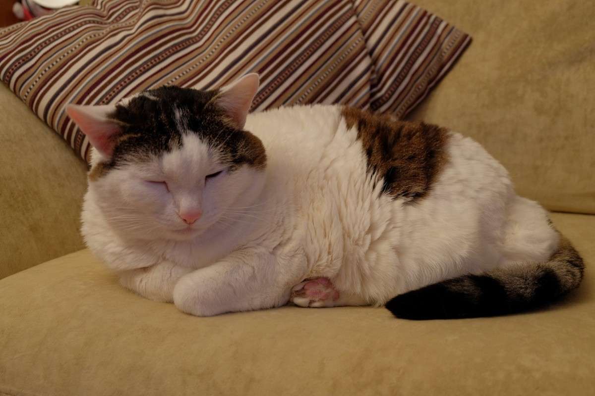 ���� ����.. ����� ������  �� PhotoGeek.ru #�������� ���