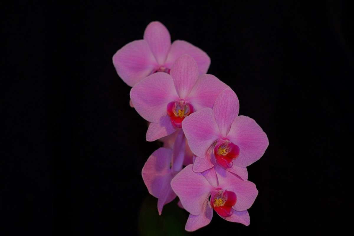 ����� ������ ����� ������  �� PhotoGeek.ru #������ ��� �������