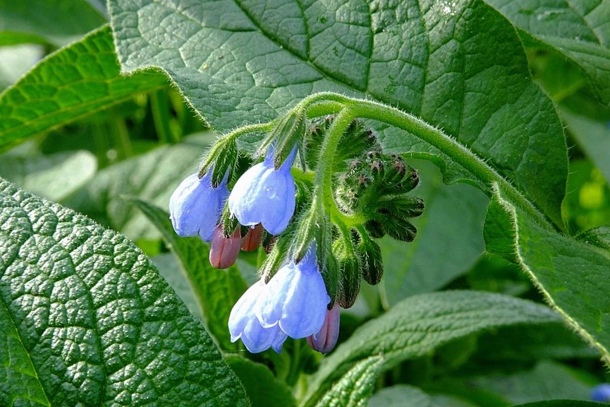 .... ����� ������  �� PhotoGeek.ru #������ ��� �������