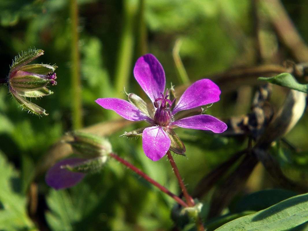 ������ ������... ����� ������  �� PhotoGeek.ru #������ ��� �������