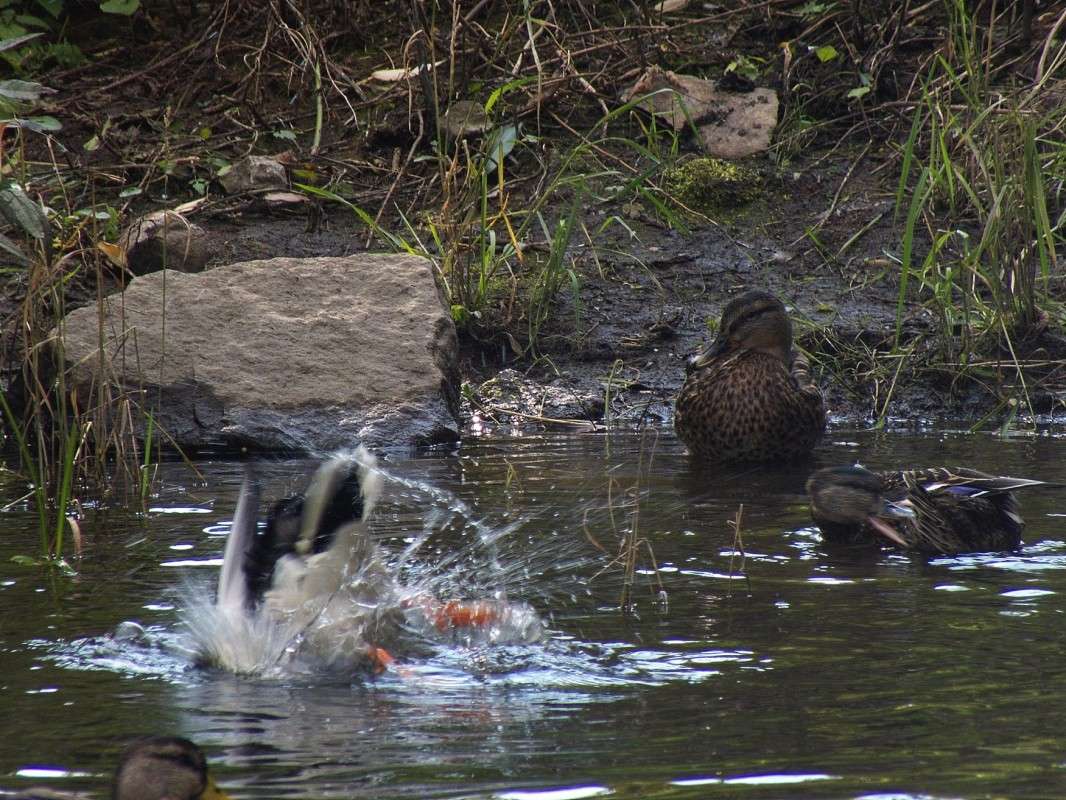 �� ����? ����� ������  �� PhotoGeek.ru #�������� ���