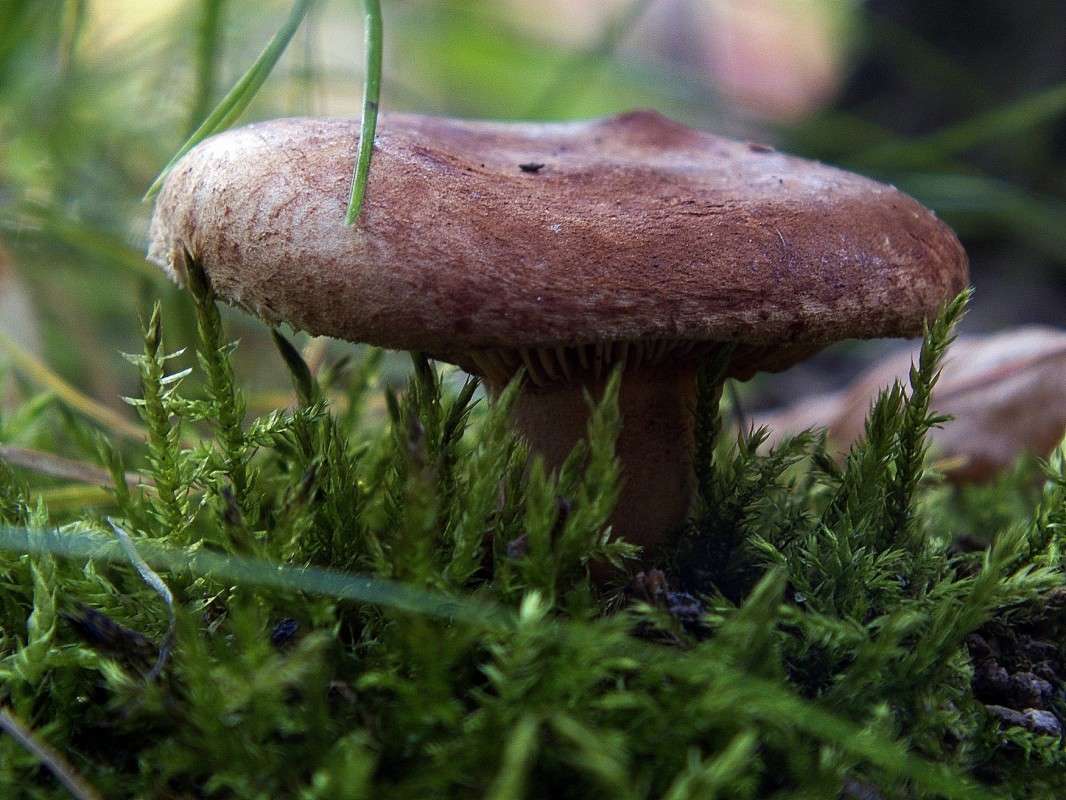 ���� ����� ������  �� PhotoGeek.ru #������ ��� �������