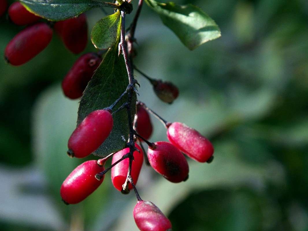 �������� ����� ������  �� PhotoGeek.ru #������ ��� �������