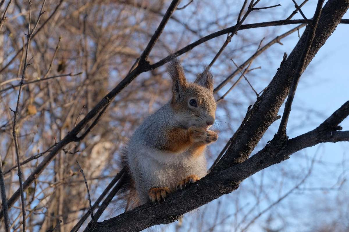 ������� ����� ������  �� PhotoGeek.ru #�������� ���