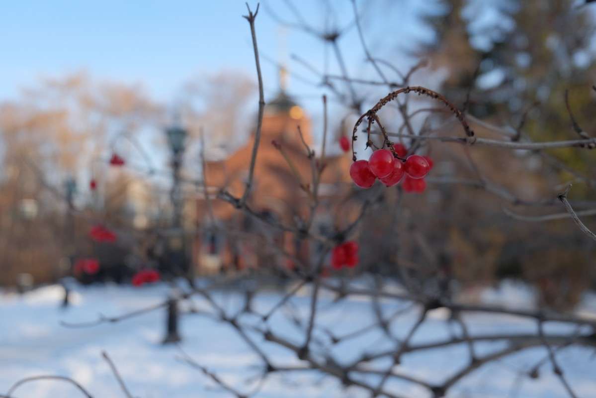 ������ ������� ����� ������  �� PhotoGeek.ru #������ ��� �������