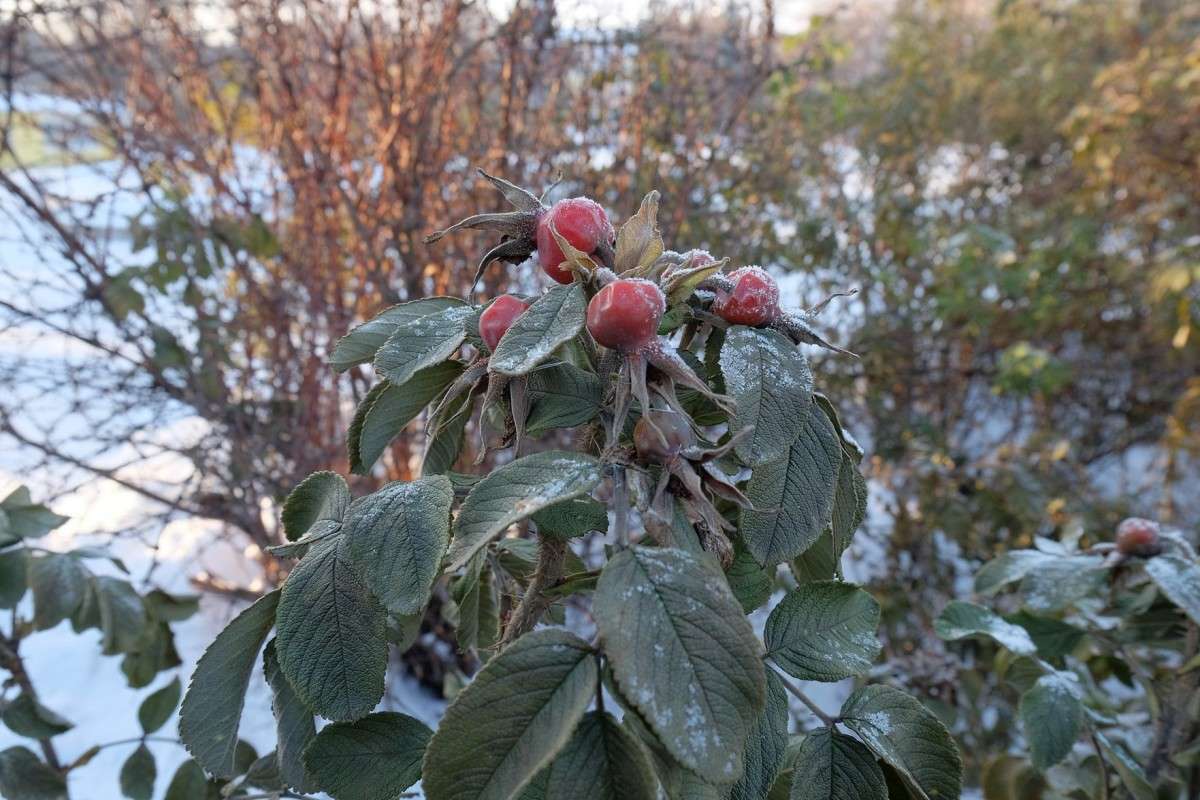 �� ���� �������... ����� ������  �� PhotoGeek.ru #������ ��� �������