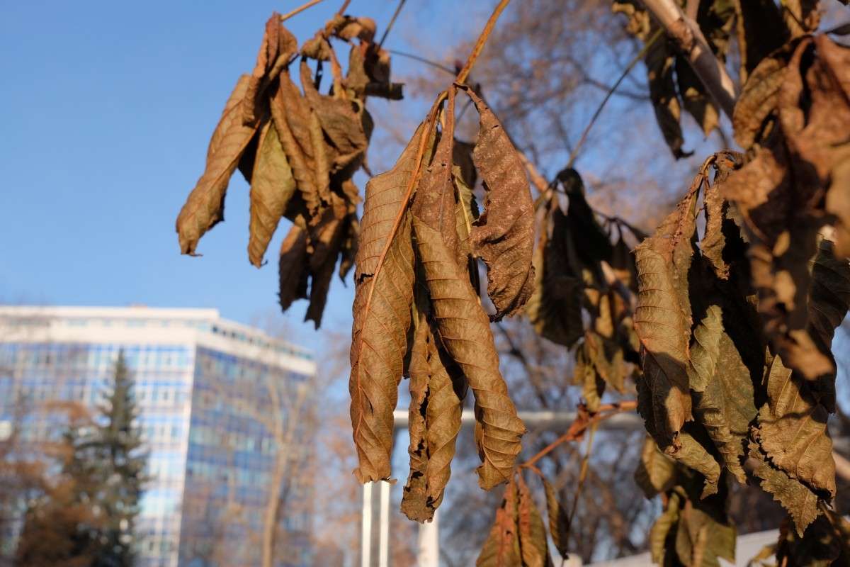 �� ������ �������..... ����� ������  �� PhotoGeek.ru #������ ��� �������