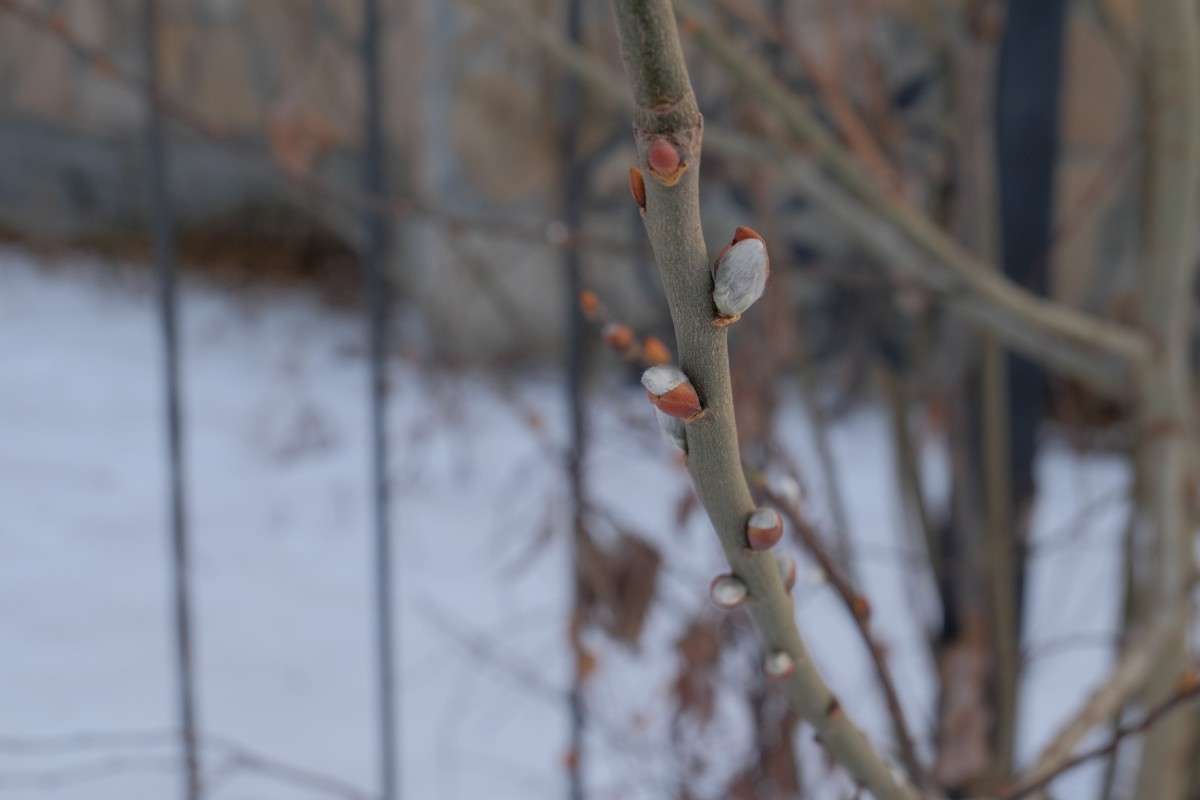 � �� ����� ����? ����� ������  �� PhotoGeek.ru #������ ��� �������