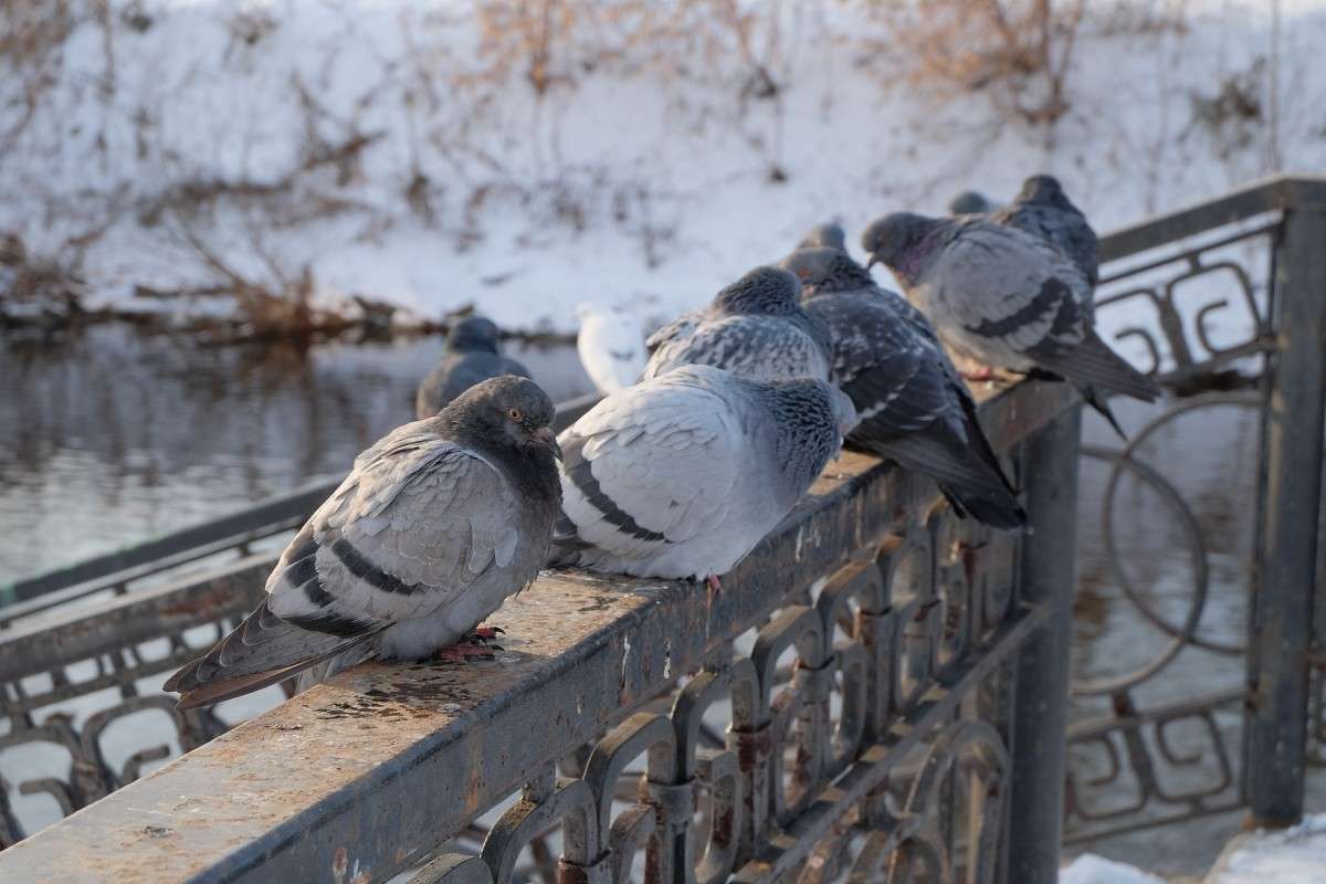 �������� ��������.... ����� ������  �� PhotoGeek.ru #�������� ���