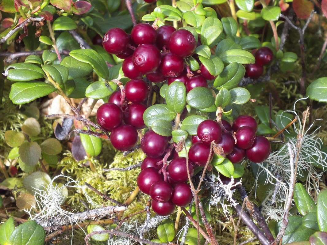 ��������.. ����� ������  �� PhotoGeek.ru #������ ��� �������