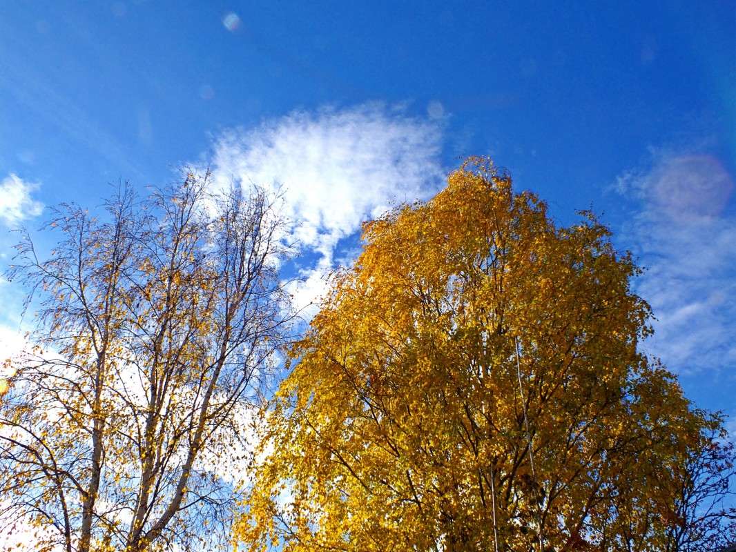 ����� ������� ����� ������  �� PhotoGeek.ru #������ ��� �������