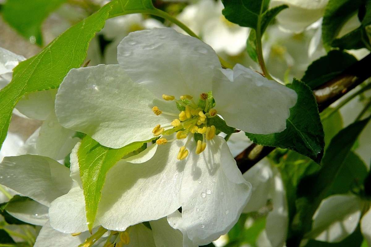 ������ ����� ����� ������  �� PhotoGeek.ru #������ ��� �������