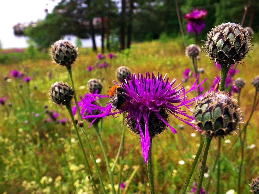 ������� ����� ������  �� PhotoGeek.ru #������ ��� �������