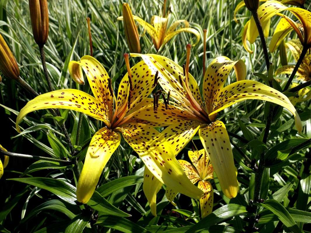 ���������... ����� ������  �� PhotoGeek.ru #������ ��� �������