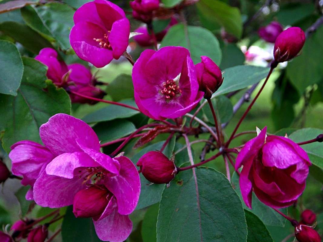 ���� ����������.... ����� ������  �� PhotoGeek.ru #������ ��� �������