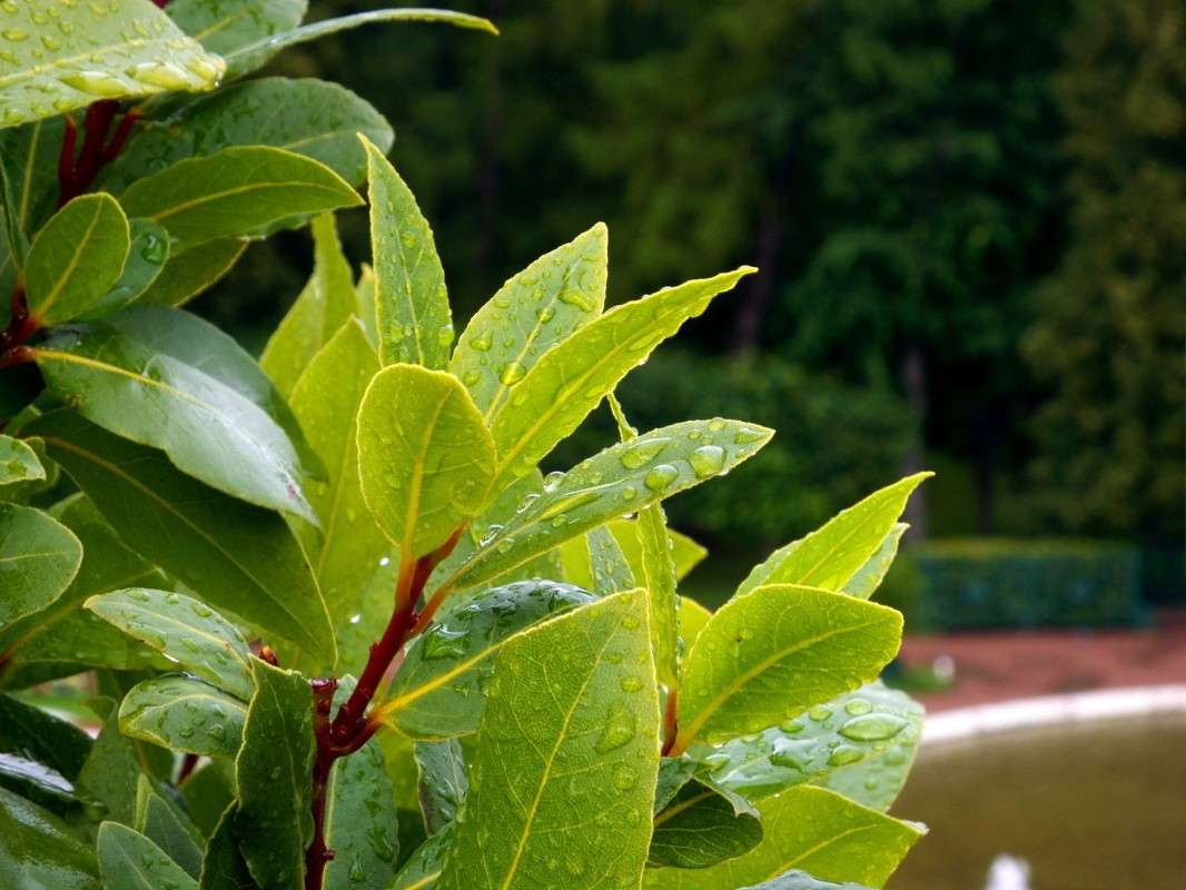 ��� ��� ������� ���.... ����� ������  �� PhotoGeek.ru #������ ��� �������