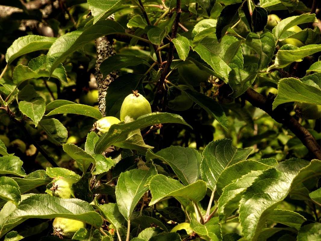 ������ ������� ����� ������  �� PhotoGeek.ru #������ ��� �������