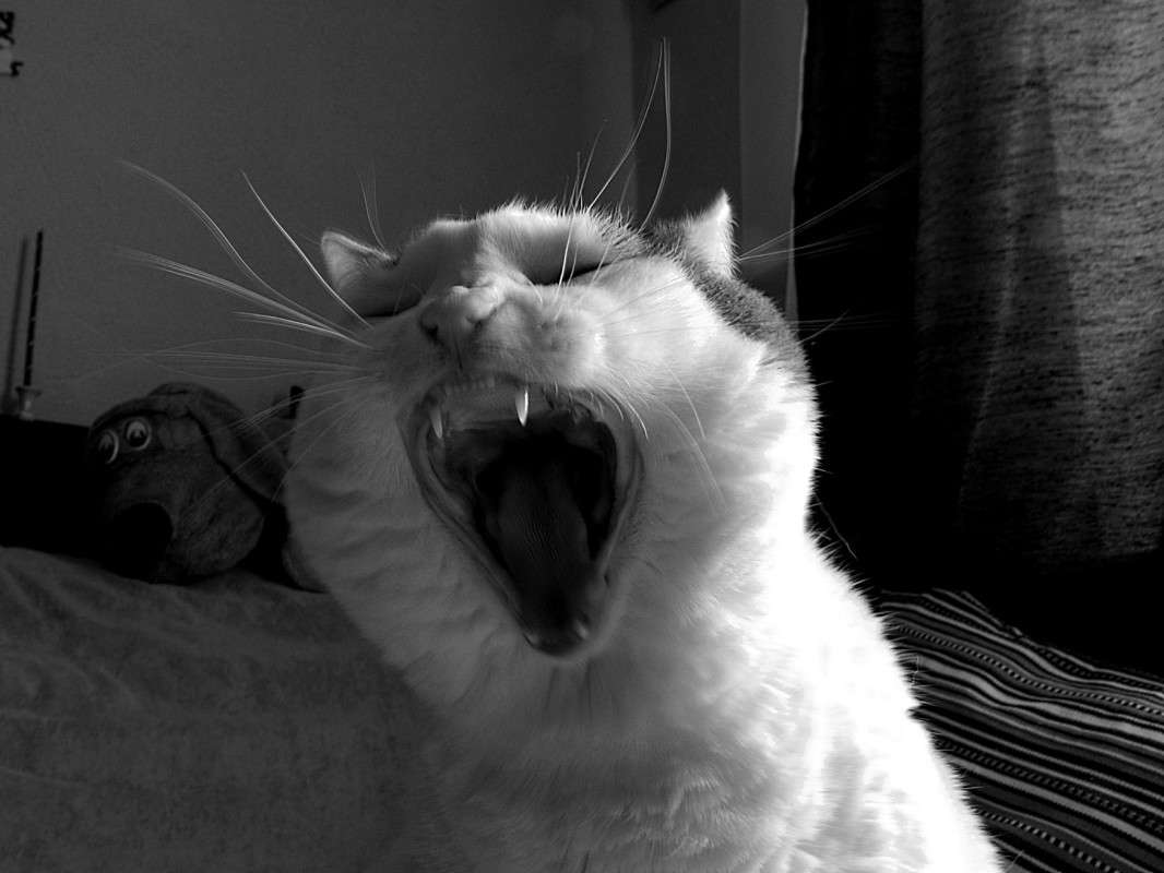 ����-�����.... ����� ������  �� PhotoGeek.ru #�������� ���