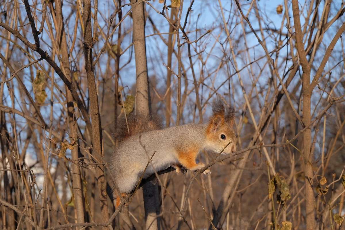 ����� �����... ����� ������  �� PhotoGeek.ru #�������� ���