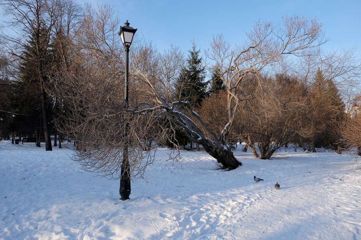 ������ �� ���� ������ � ������... ����� ������  �� PhotoGeek.ru #������ ��� �������