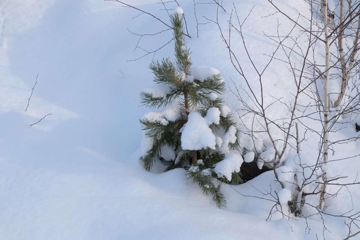 ������-��������... ����� ������  �� PhotoGeek.ru #������ ��� �������