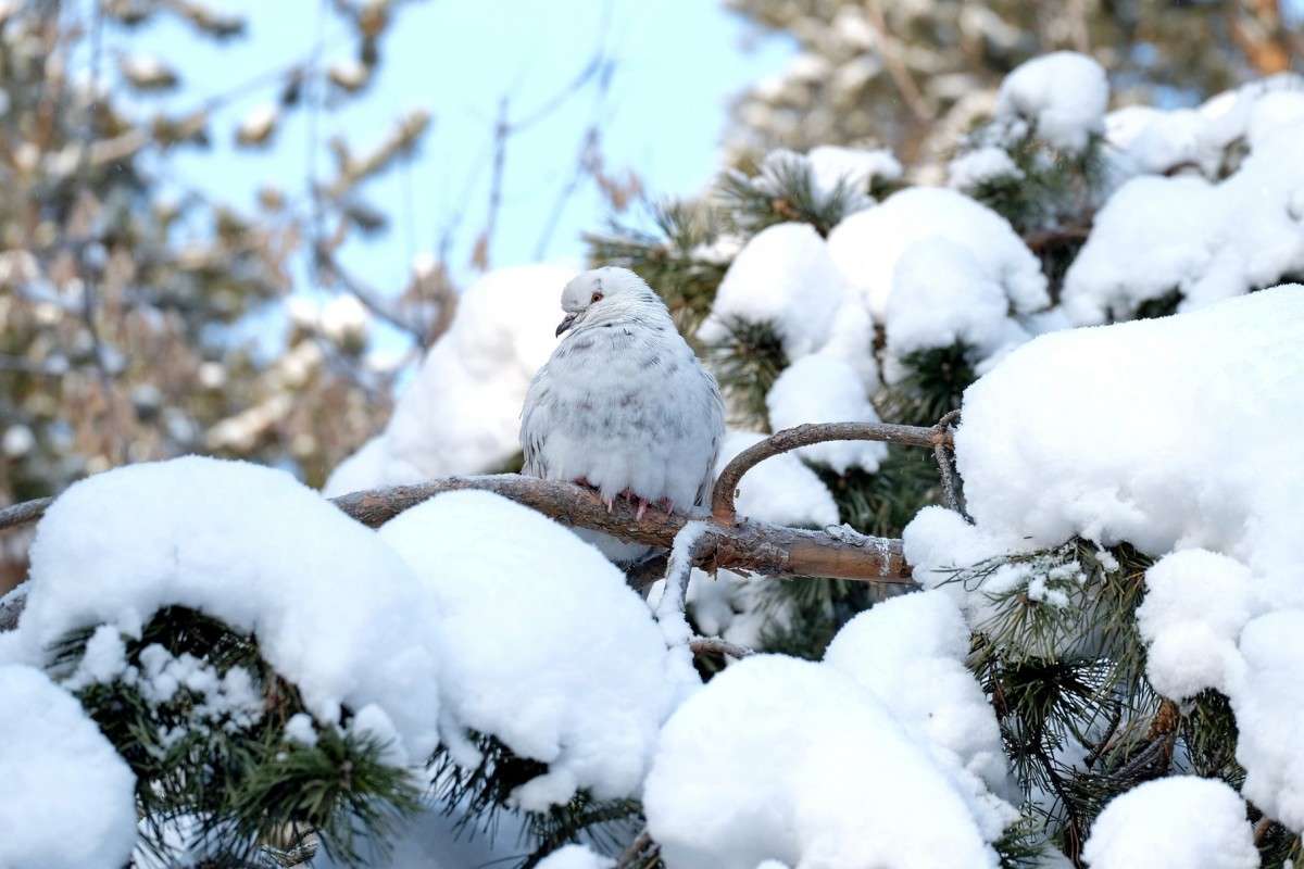 ���������� ����� ������  �� PhotoGeek.ru #������ ��� �������